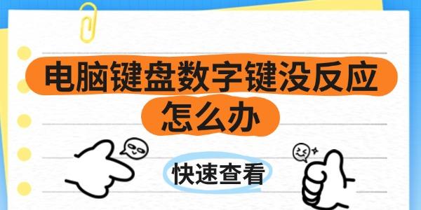 電腦鍵盤數(shù)字鍵沒反應(yīng)怎么辦